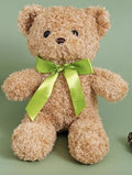 Plush Teddy Bear