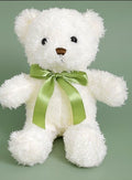 Plush Teddy Bear